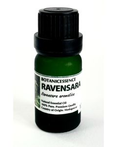 ravensara essential oil 