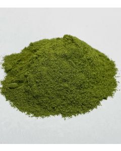 Moringa Powder