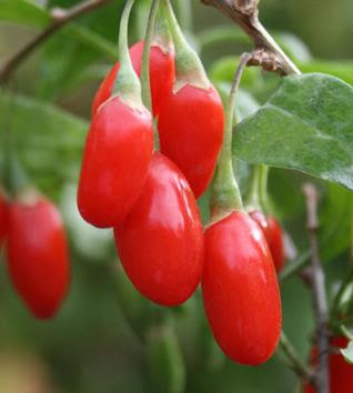 Goji Berries