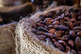 Cacao Husk 