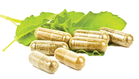 Green Tea Capsules