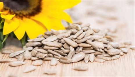 Organic Sunflower Seeds